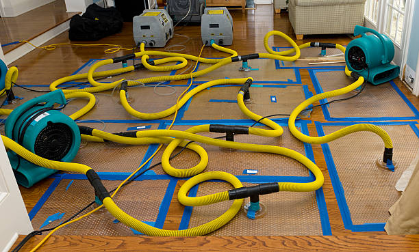 Professional Water Damage Repair technician working in Waterloo, NE